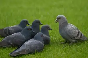 unity is strength